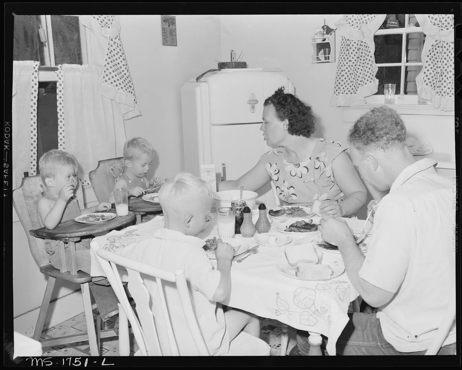 Family kitchen at dinner time with the oven on, a pot steaming on the cooktop and the dishwasher door open